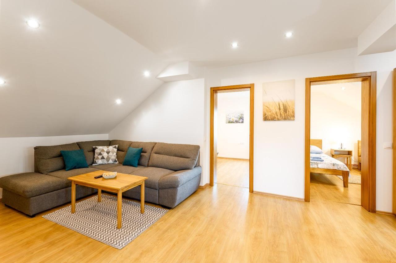 Apartman Medved スルニュ エクステリア 写真