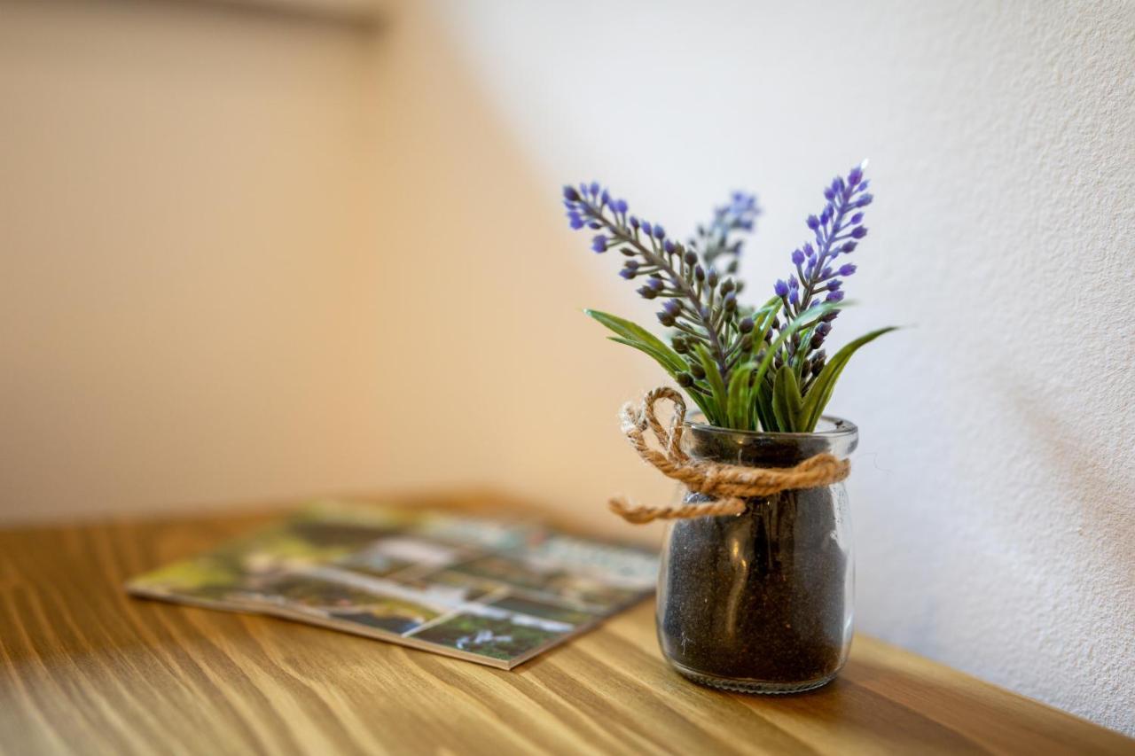 Apartman Medved スルニュ エクステリア 写真